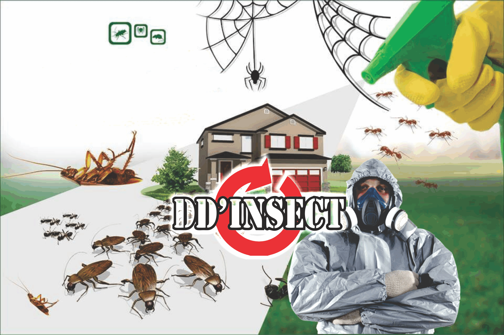 DD´Insect Controle de Pragas e Manutenção Predial      Fones: (41) 98459-8012 / (41) 99669-7067