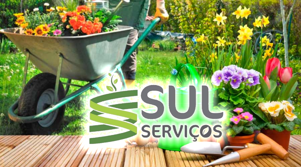 Sul Serviços      Fones: (41) 98411-1330 / (41) 98479-9073